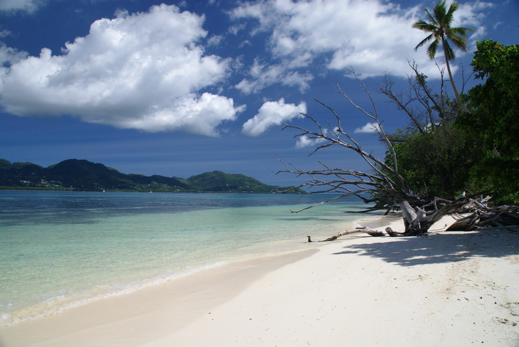 Fairytern Chalets Cerf Island ภายนอก รูปภาพ
